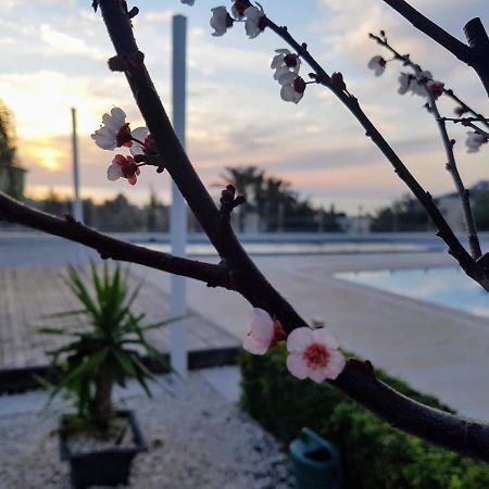 Villa Verdi: Luxury Villa With Private Pool بييا المظهر الخارجي الصورة